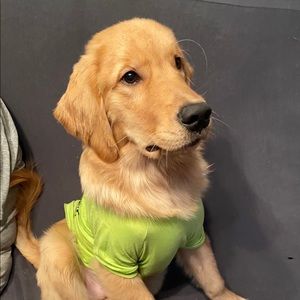 Meet your Posher, Emma